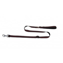 Al-021 Köpek Gezdirme 2.50 Cm