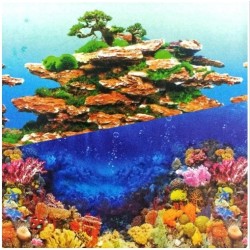 Çift Taraflı Poster 30Cm