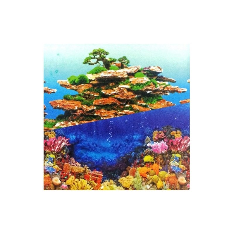 Çift Taraflı Poster 30Cm