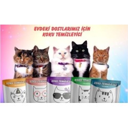 Magic Power Koku Temizleyici Lavantalı