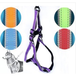 Ans Köpek Göğüs Tasma Seti 15 Kg