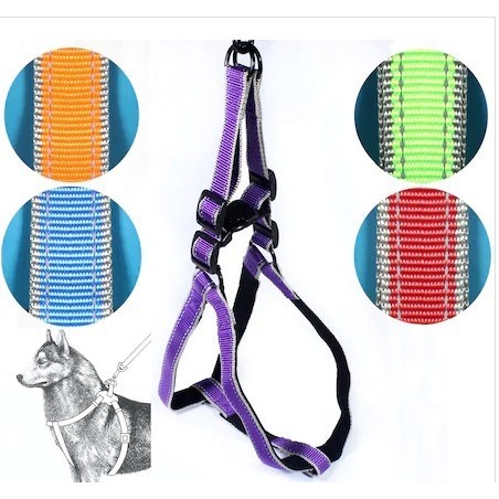 Ans Köpek Göğüs Tasma Seti 15 Kg