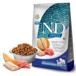 N&D Ocean Somon Morina&Kavun  Adult Med&Maxı 12 Kg