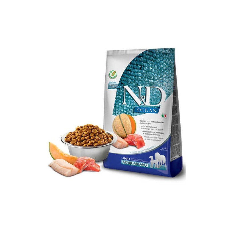 N&D Ocean Somon Morina&Kavun  Adult Med&Maxı 12 Kg