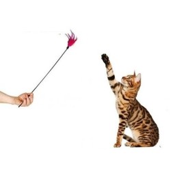 Dg-055 Kedi Oltası