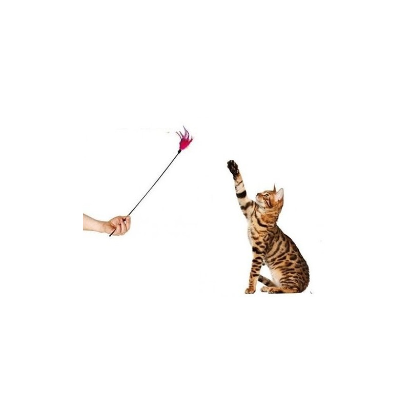 Dg-055 Kedi Oltası