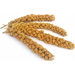 Doğal Dal Darı