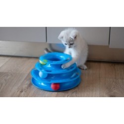 Daisy 3 Katlı Kedi Oyun Kulesi