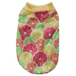 Daisy Limon Köpek Kıyafeti G-02 Set