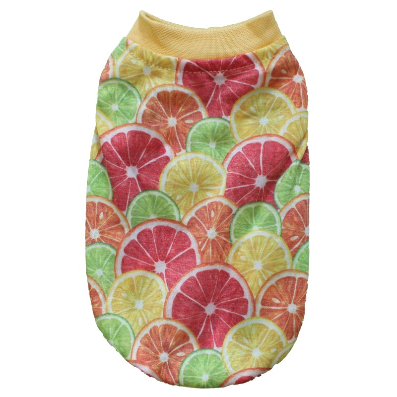 Daisy Limon Köpek Kıyafeti G-02 Set