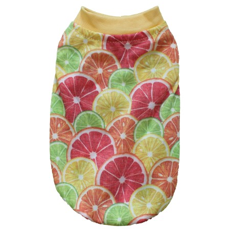 Daisy Limon Köpek Kıyafeti G-02 Set