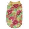 Daisy Limon Köpek Kıyafeti G-02 Set