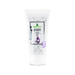 Zampa Moringa Özlü Yavru Köpek Şampuanı 200 ml