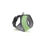 Zampa Finix Köpek Gövde Tasması Yeşil Small 28x34-45 Cm