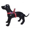 Al-011 Lüx İki Renkli Göğüs Tasma -L- 2,50 Cm