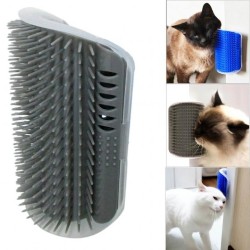 Kapi Kenarina Takilan Kedi Kaşima