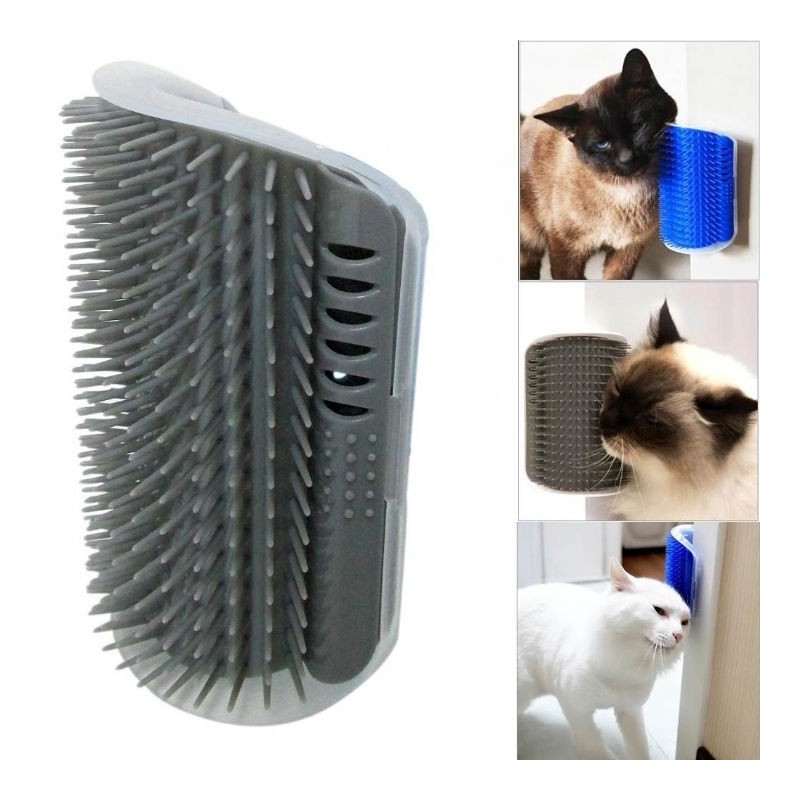Kapi Kenarina Takilan Kedi Kaşima