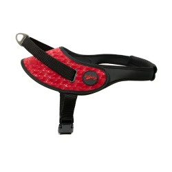 Tail Petz XL Norwegıan Harıness