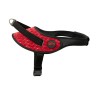 Tail Petz XL Norwegıan Harıness