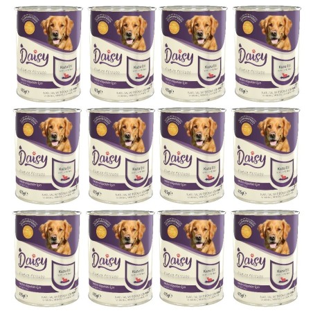 Daisy Premium Pet Kuzu Etli Yetişkin Köpek Maması Konservesi 12 Adet 400 Gr
