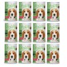 Daisy Pate Kuzu Etli Pirinçli  Ezme Yavru Köpek Maması Konservesi 24 Adet 400 gr