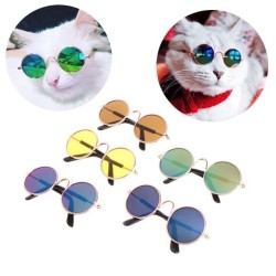 Kedi Köpek Gözlük