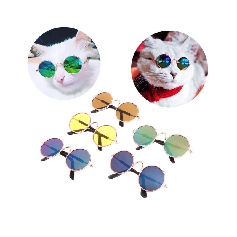 Kedi Köpek Gözlük