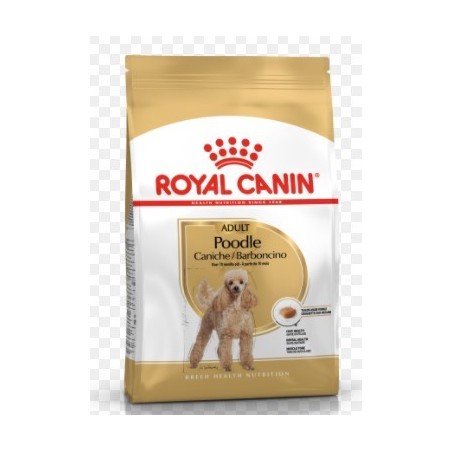 Royal Canin Bhn Poodle Adult 3K