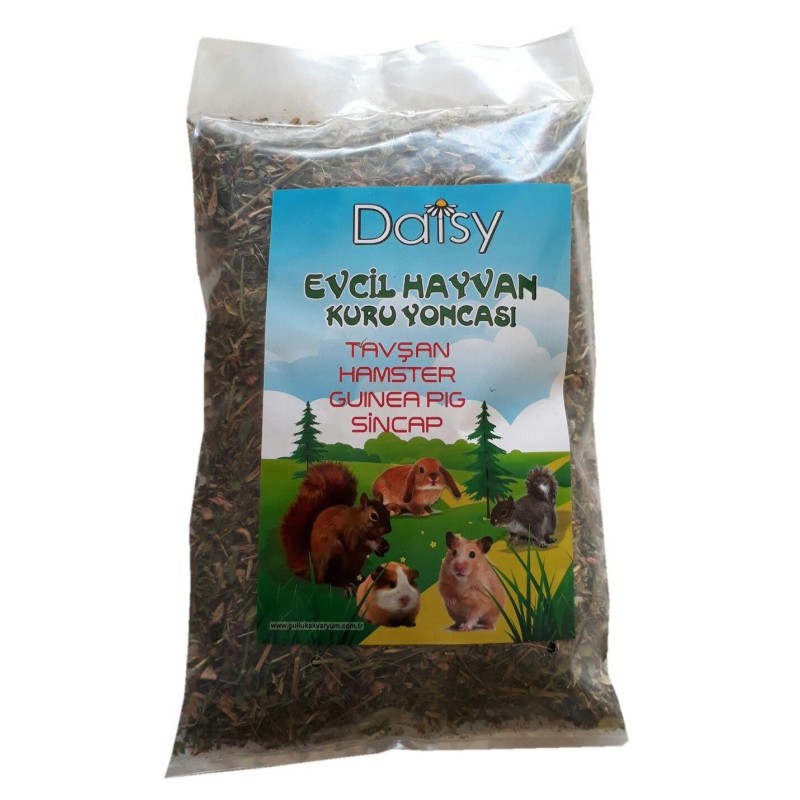 Daisy Kemirgen Yoncası 350 Gr