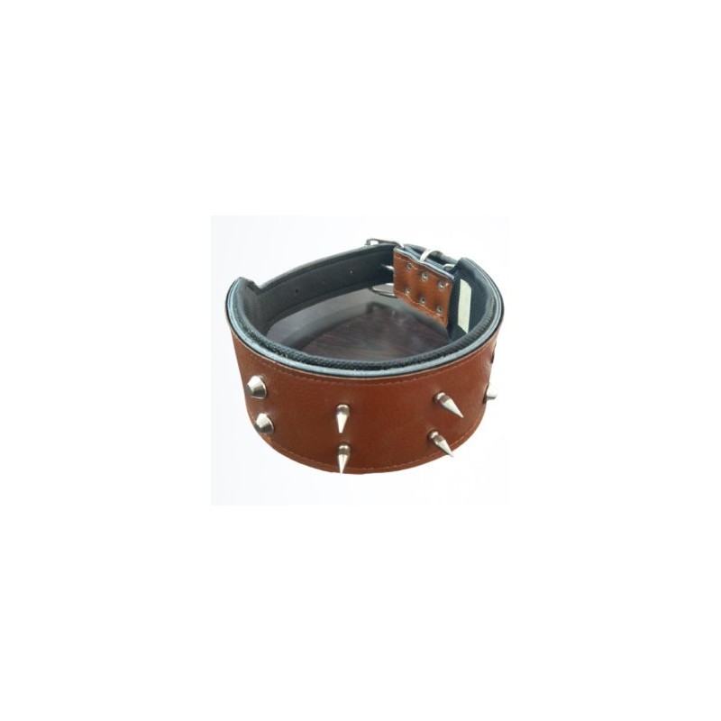 Köpek Çivili Boyun Tasması 8 Cm & Gezdirme