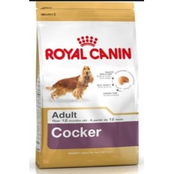 Royal Canin Bhn Cocker Jun 3K