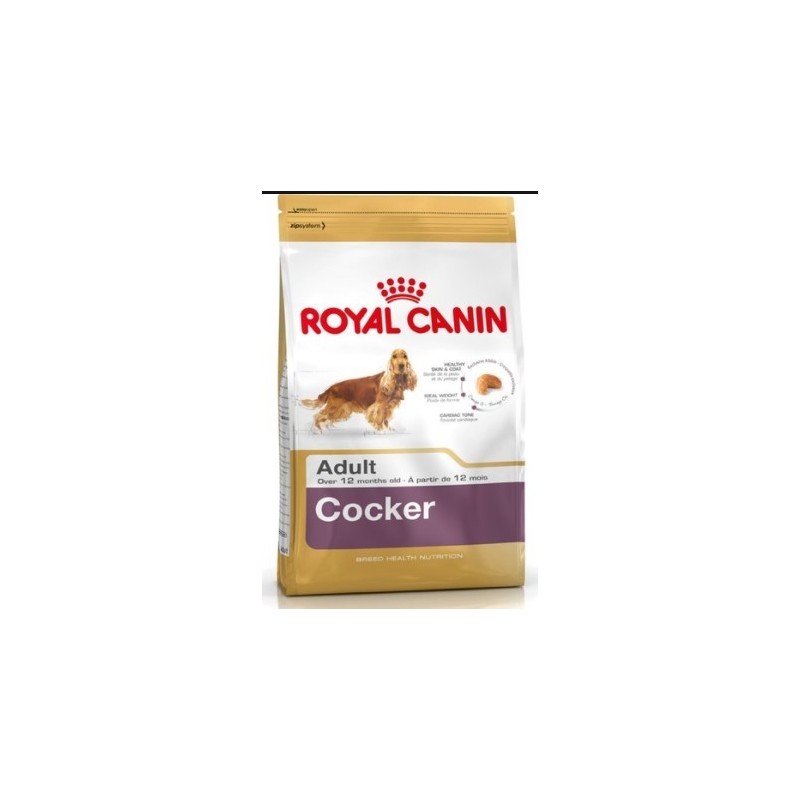 Royal Canin Bhn Cocker Jun 3K