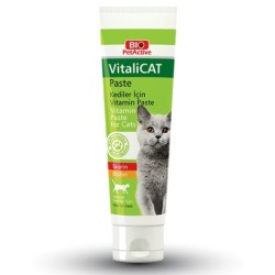 Bio Pet Active Kedi  Vitamin Paste 100 Ml