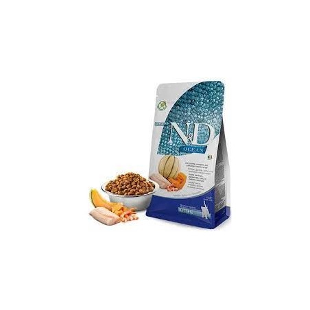 N&D Ocean Morina, Balkabağı Karides&Kavun Kıtten 5 Kg