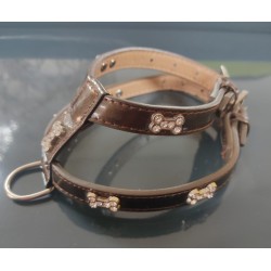 Pet Style Bel Tasması 1.5X35Cm