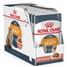 Royal Canin Fhn İntense Beauty Soslu Taneli 85G