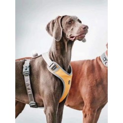 Nunbell Köpek Gögüs Tasmasi L