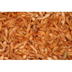Rotifish Gammarus 1Kg