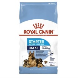 Royal Canin Maxi Starter M&B 15K