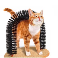 Purrfect Arch Kedi Kaşıma Aparatı
