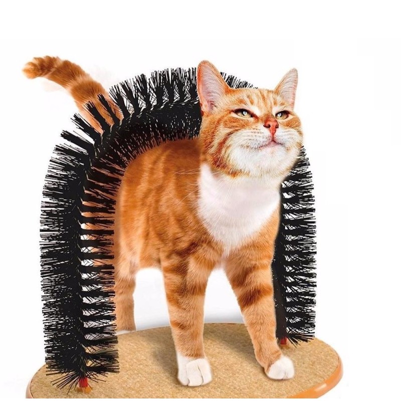 Purrfect Arch Kedi Kaşıma Aparatı