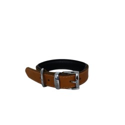 Daisy Yağlı Deri Köpek Tasması XXS-2cm Taba