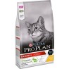 Pro Plan Original Tavuklu Kedi Maması 10 Kg