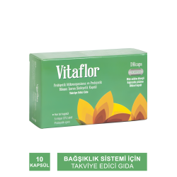 Vitaflor Probiyotik 10 Kapsül