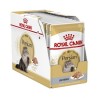Royal Canin Fbn Persian 85 Gr