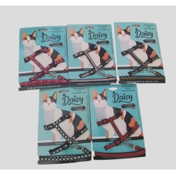 Daisy Kedi Takım Bel Tasması