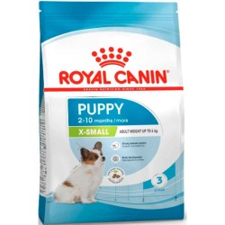Royal SHN Xsmall Puppy 3K