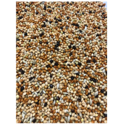 Karışık Muhabbet Kuşu Yemi Açık  1000 Gr