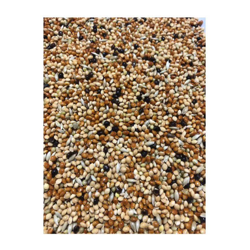 Karışık Muhabbet Kuşu Yemi Açık  1000 Gr