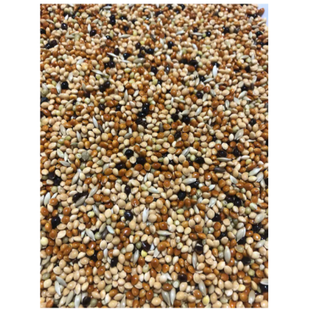 Karışık Muhabbet Kuşu Yemi Açık  1000 Gr
